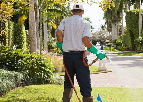 About Danvers MN Pest Control Pros